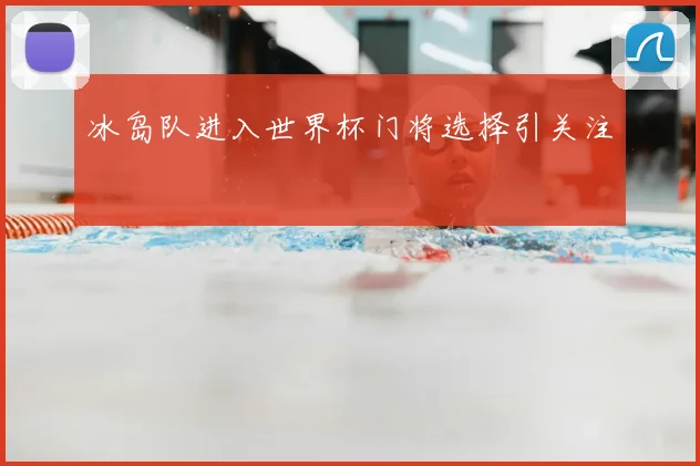 冰岛队进入世界杯门将选择引关注